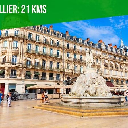 Le Palais Maya - Lumineux - Wifi ラ・グランド・モット エクステリア 写真