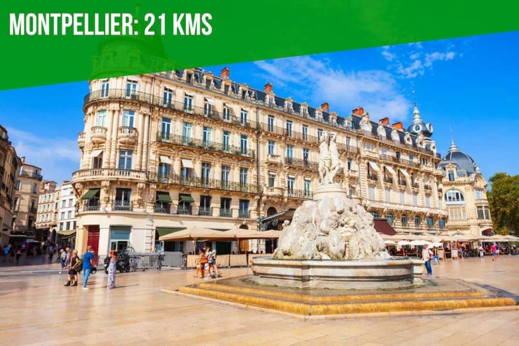 Le Palais Maya - Lumineux - Wifi ラ・グランド・モット エクステリア 写真